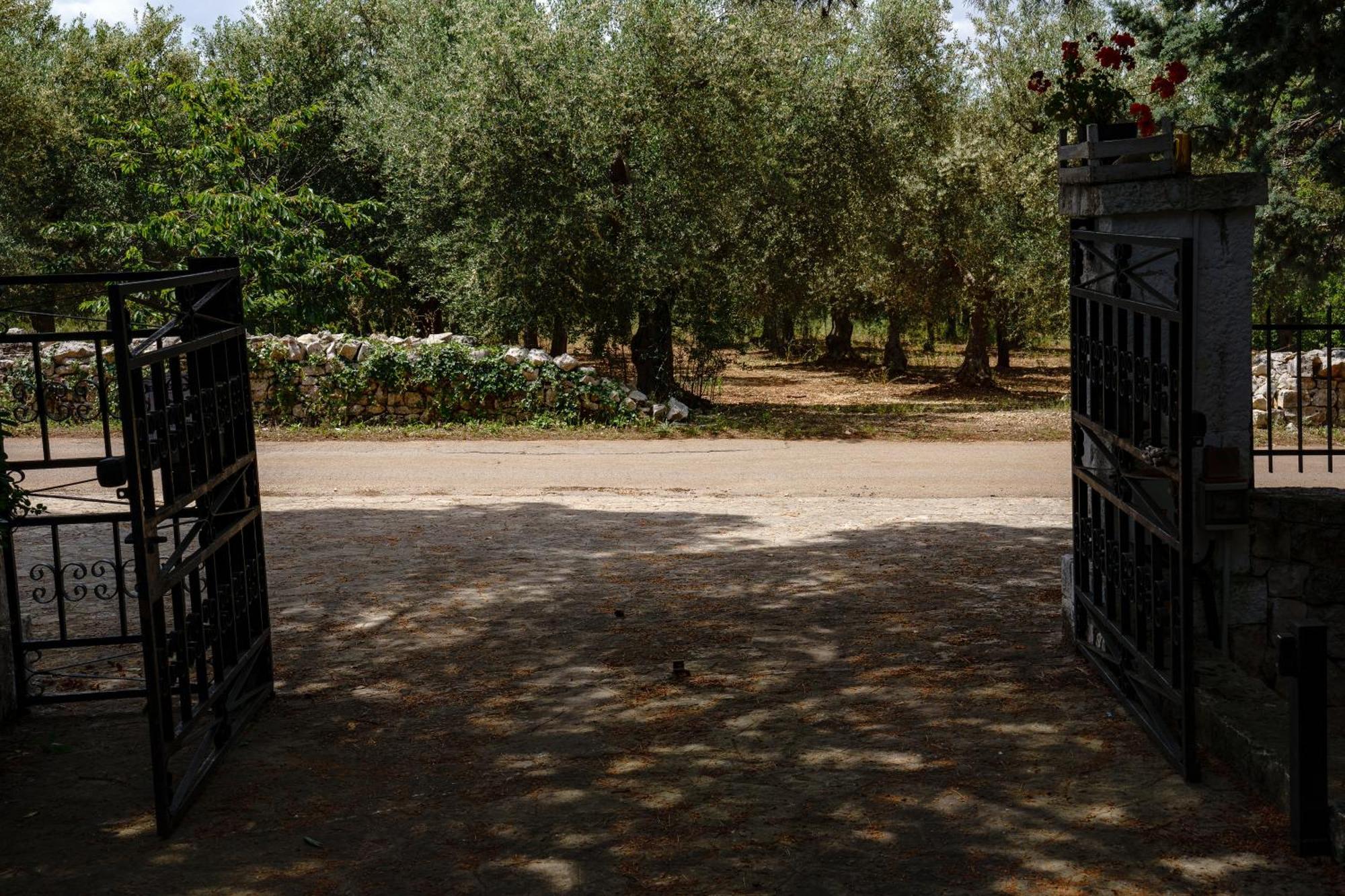 Villa Dan-Rooms In Monopoli Impalata Εξωτερικό φωτογραφία